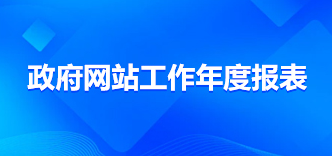 政府网站工作报表